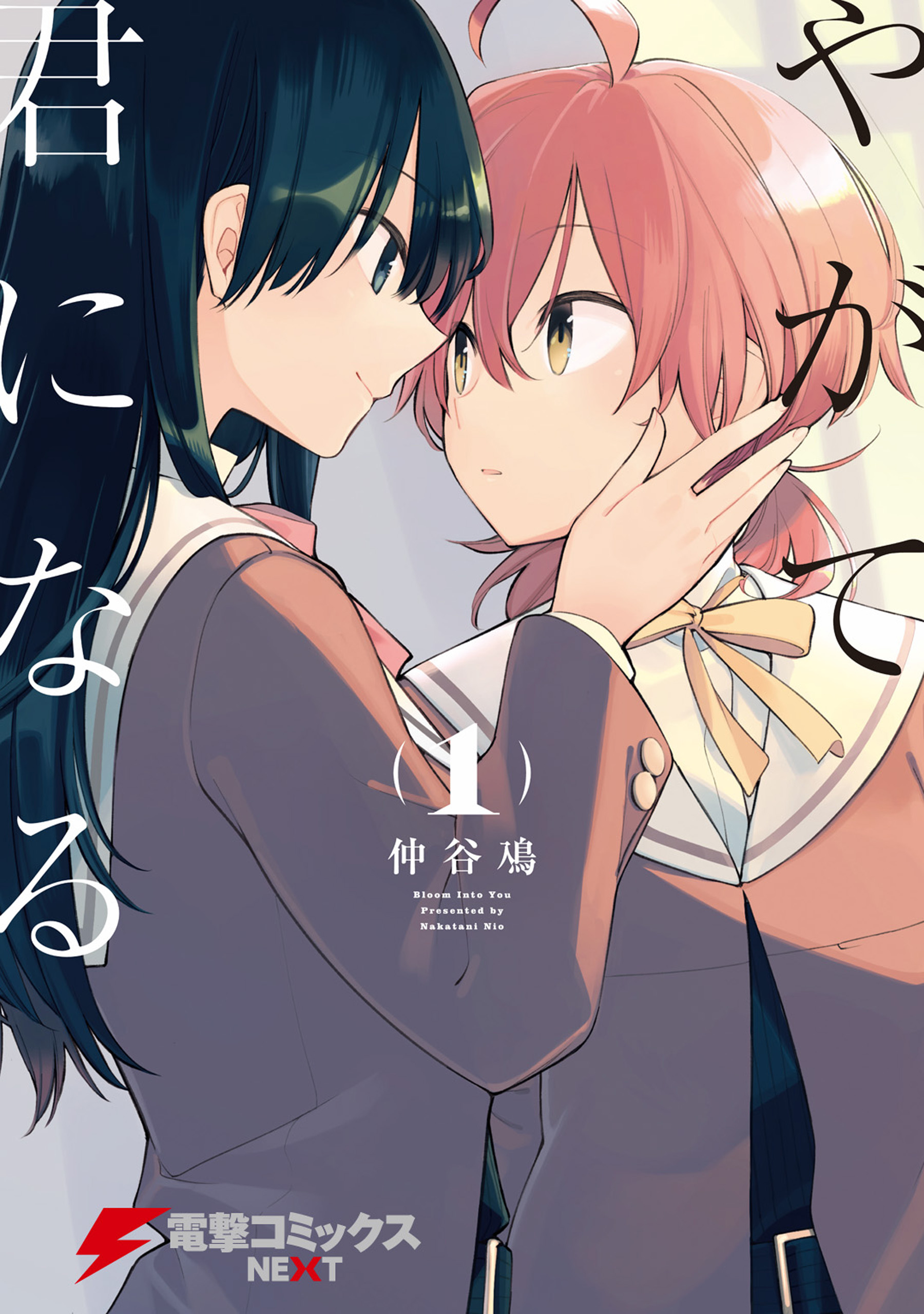 Kimi Ni Wa Fureru To Naru Toko Ga Atte Volume 1 | Yagate Kimi ni Naru Wiki | Fandom