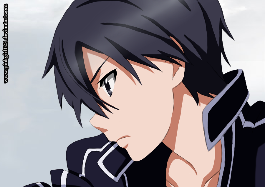 sword art online kirito profile