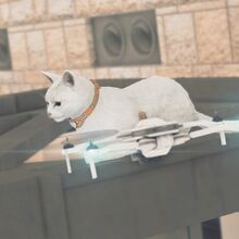 Secrets Of Cats Yakuza Wiki Fandom