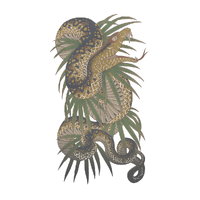 Rikiya Shimabukuro | Yakuza Wiki | Fandom