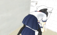 Drowntoilet