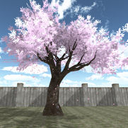 TheFirstCherryTree