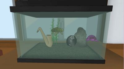 Turtle