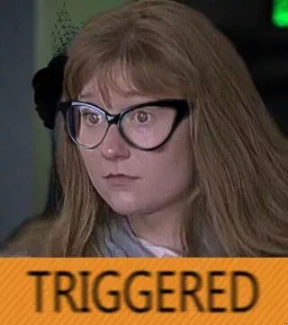 Image result for triggered