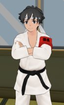 Budo supervise june