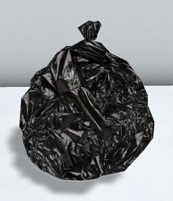 17Feb16GarbageBag