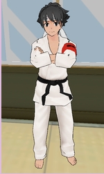 Budo