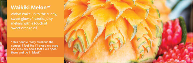File:20150328 Waikiki Melon Frag Fam Banner yankeecandle com.jpg