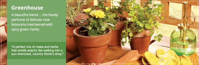 File:20150328 Greenhouse Frag Fam Banner yankeecandle com.jpg