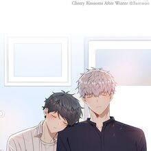 Cherry Blossom After Winter Wallpaper