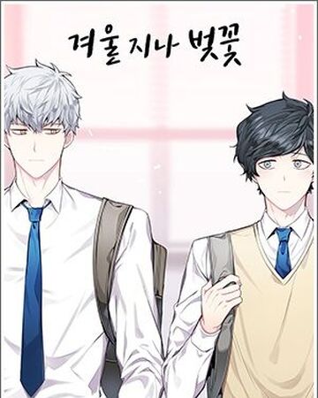 Cherry Blossoms After Winter Yaoi Wiki Fandom