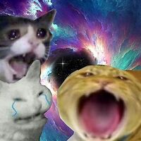 Yeetus Yeetus Commit Self Deletus Wiki Fandom