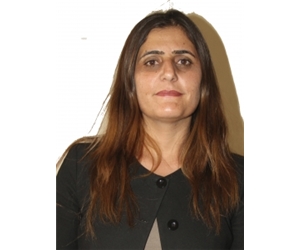 D.Taşdemir