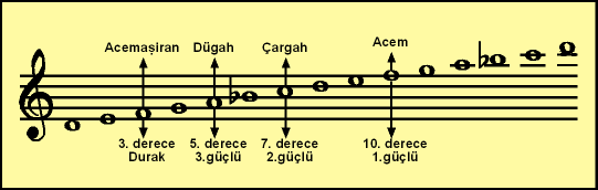Acemasiran