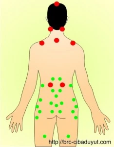 hacamat yenisehir wiki fandom