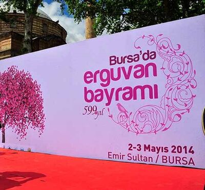 Bursada Erguvan Bayramı