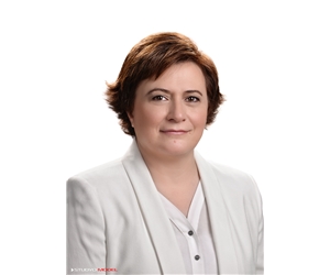 FGSarı