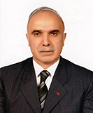 Kaya çıtak