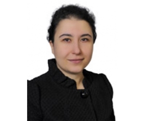 Fft267 mf9625866gülseren