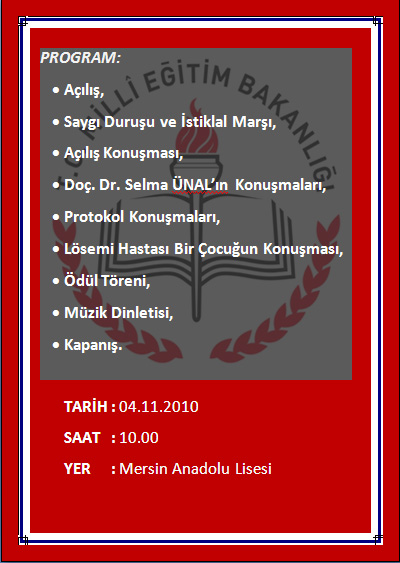 Mersinanadoludavetiye3