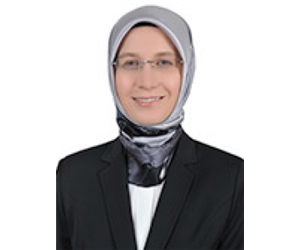 Sema kırıcı