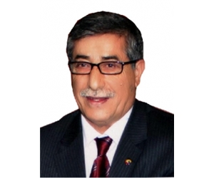 Ali kırıcı