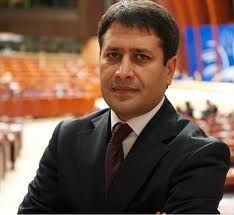 Ali şahin