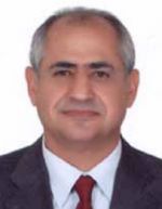 Çam