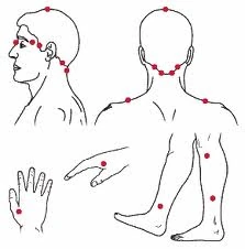 hacamat yenisehir wiki fandom