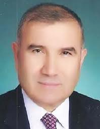 Ali rıza