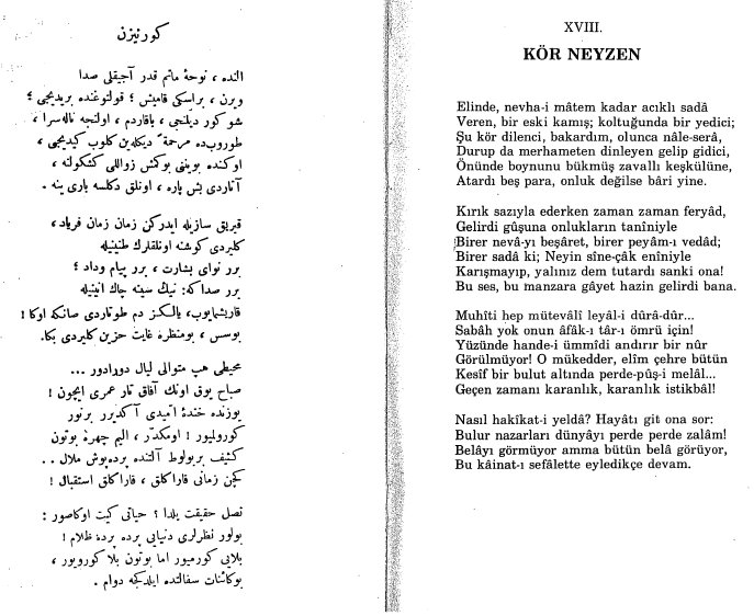 Kör neyzen 1