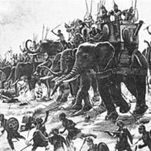 War Elephant Yenisehir Wiki Fandom