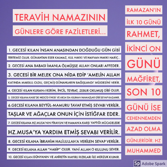 Nur Cemaati Yazicilar Ve Okuyucular Olarak Ikiye Ayriliyor Neden Boyle Bir Ayrim Yapiliyor Ve Bu Kollarin Birbirinden Farklari Nelerdir Sorularla Risale