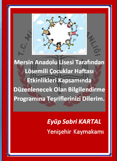 Mersinanadoludavetiye4