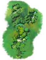 Waldberg Artwork