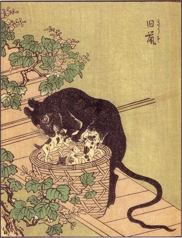 File:ShunsenKyuso.jpg