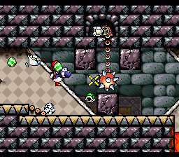 Shellkoopa