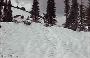 5-1 Bonus Skip(BestVersion)