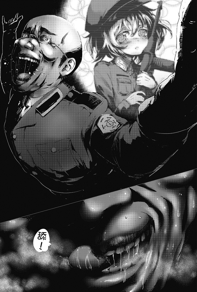 Youjo Senki Light Novel Volume 8 Pflag Youjo Senki Light Novel Volume 8 Pflag
