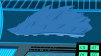 Starro segment