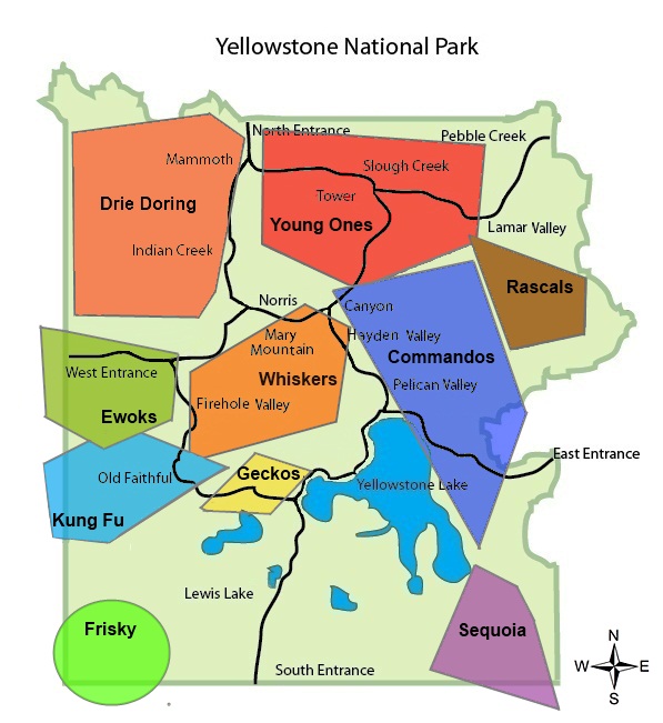 Image - Yellowstone-National-Park-Wolf-Packs 3.jpg | YoungOnesPack Wiki ...