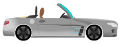 MBSLSAMGRoadster