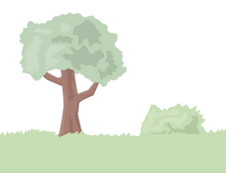 Tree and bush