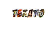 Tekato Text tempalate 2