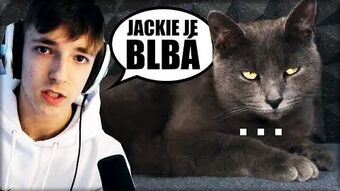 Macka Jackie Wikitubia Fandom