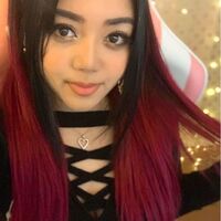 Teampz Wikitubia Fandom
