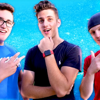 The Squad Wikitubia Fandom