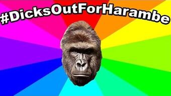 Gorilla Glue Meme Original Commercial Youtube