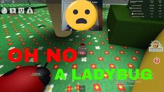 james tips roblox bee swarm Tommyman8 Wikitubia Fandom