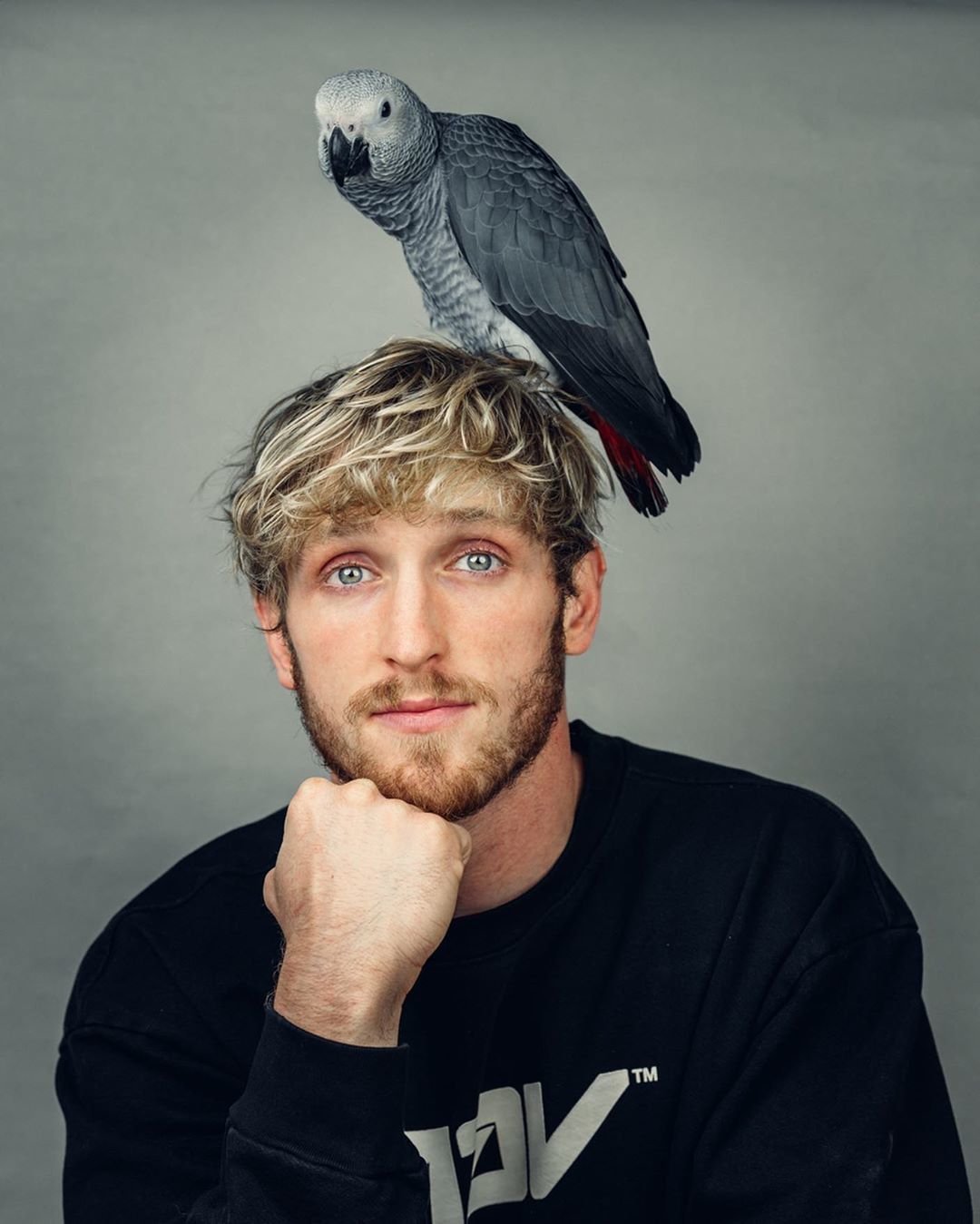 Logan Paul | YouTube Wiki | Fandom